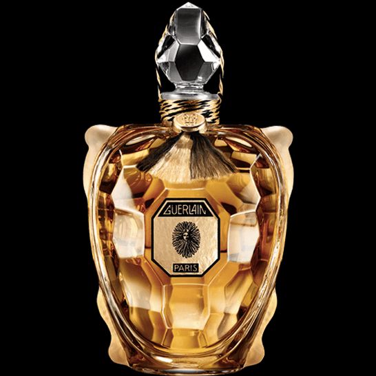 Turtle-Shaped Luxury Perfumes : luxury perfume