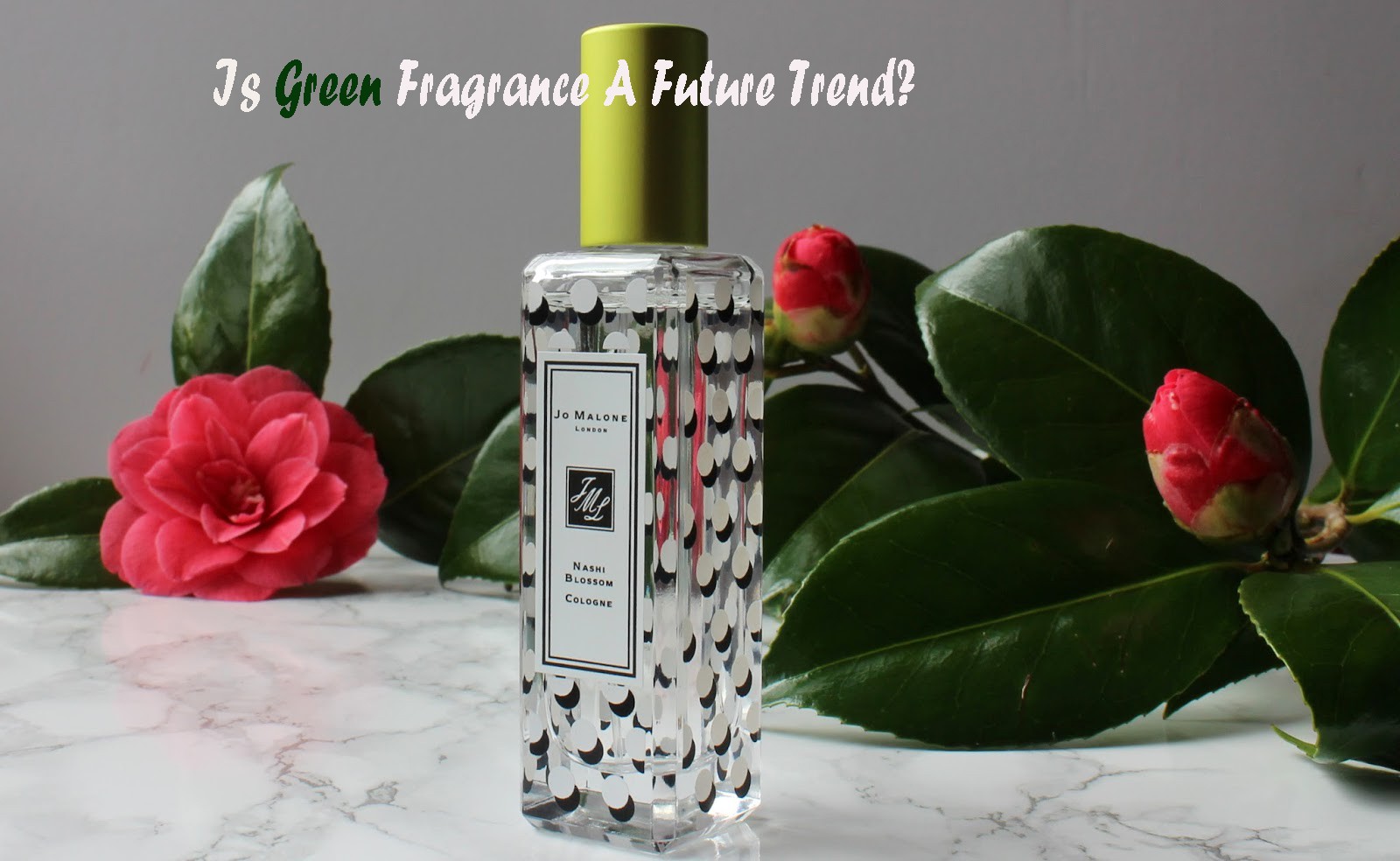 is-green-fragrance-a-future-trend-klassy-cosmetics-what-does-green-perfume-mean