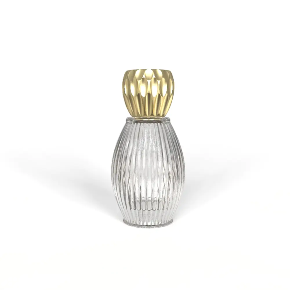 Modern and Luxury small 50ml coated perfume bottle